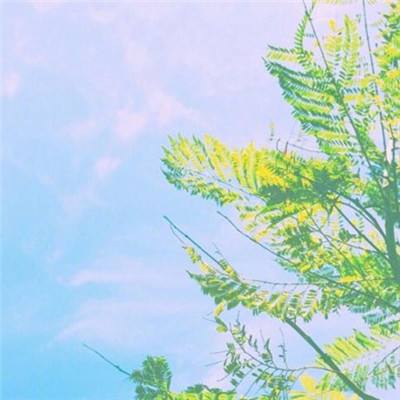 热血武林经典版本下载