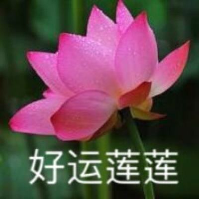 冒泡仙剑问情官方版下载
